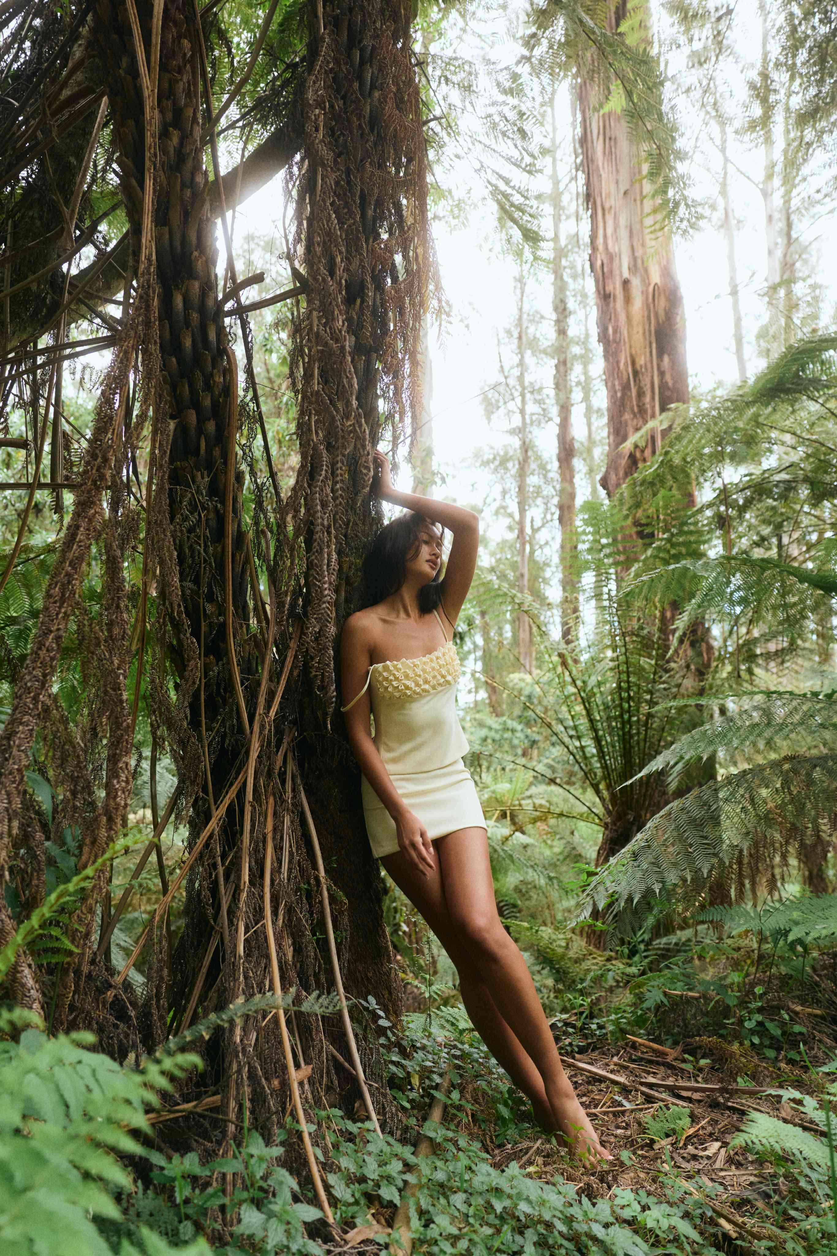 Jude Bustier Top Cream