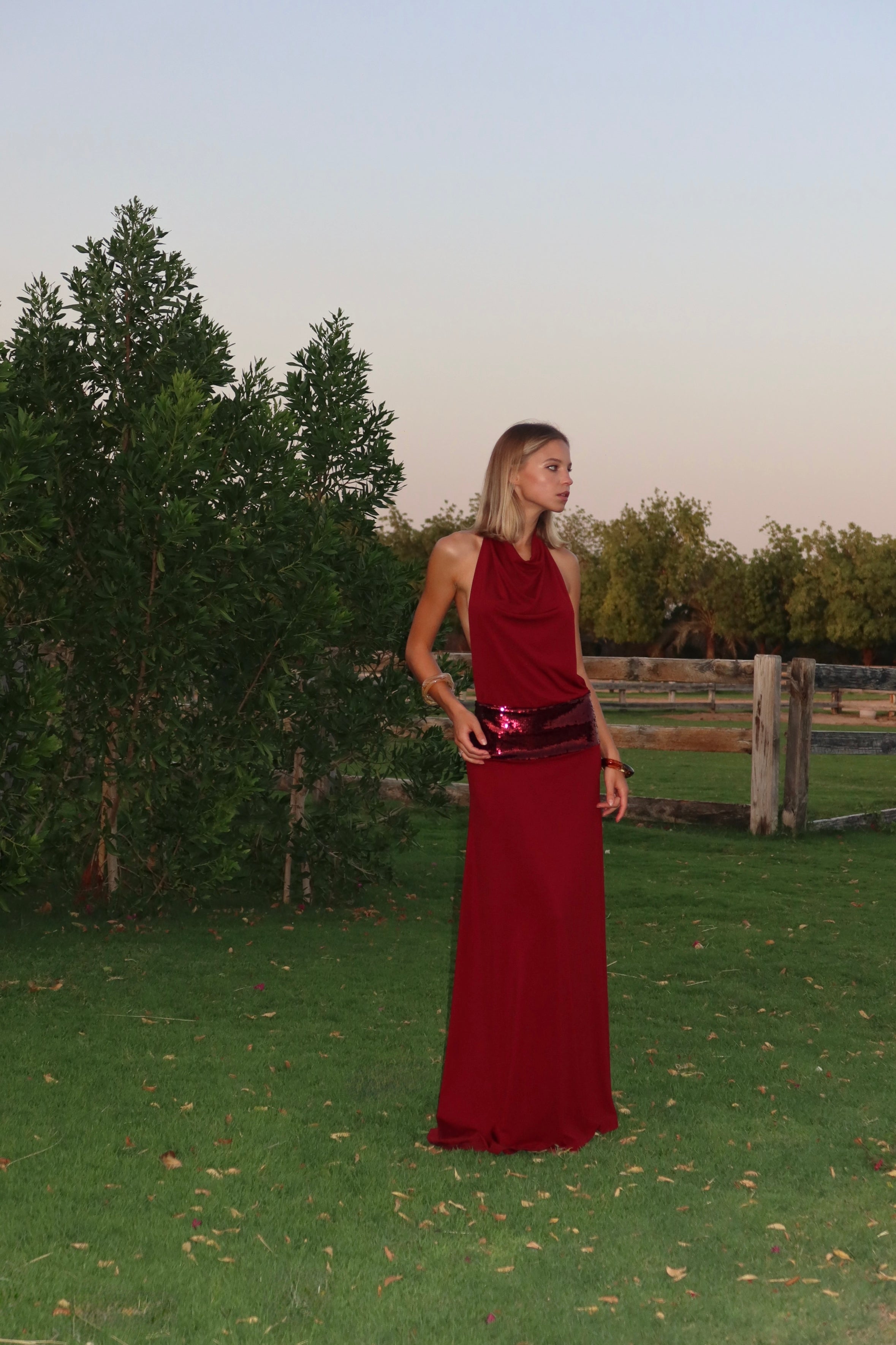 Adele Gown - Wine